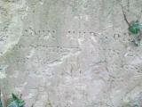 image of grave number 282083